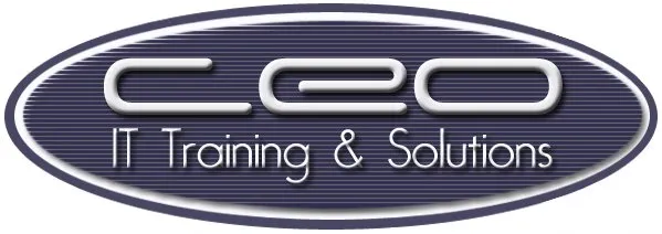 CEO Training