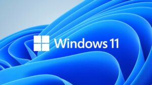 Windows 11